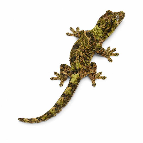 Gecko chahoua White collar de Nueva Caledonia - Mniarogekko chahoua adulto macho ♮010